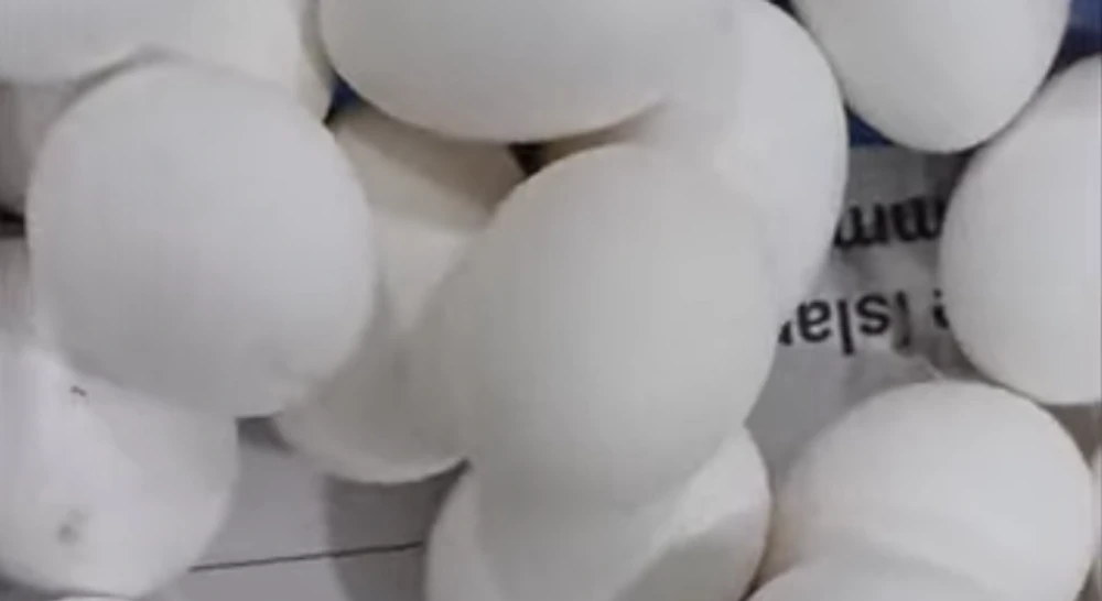 photo for ރައްކާތެރި ރޯދަމަސް -ކުކުޅުބިސް ގަންނައިރު ސަމާލުކަންދޭންވީ ކަންތައްތައް